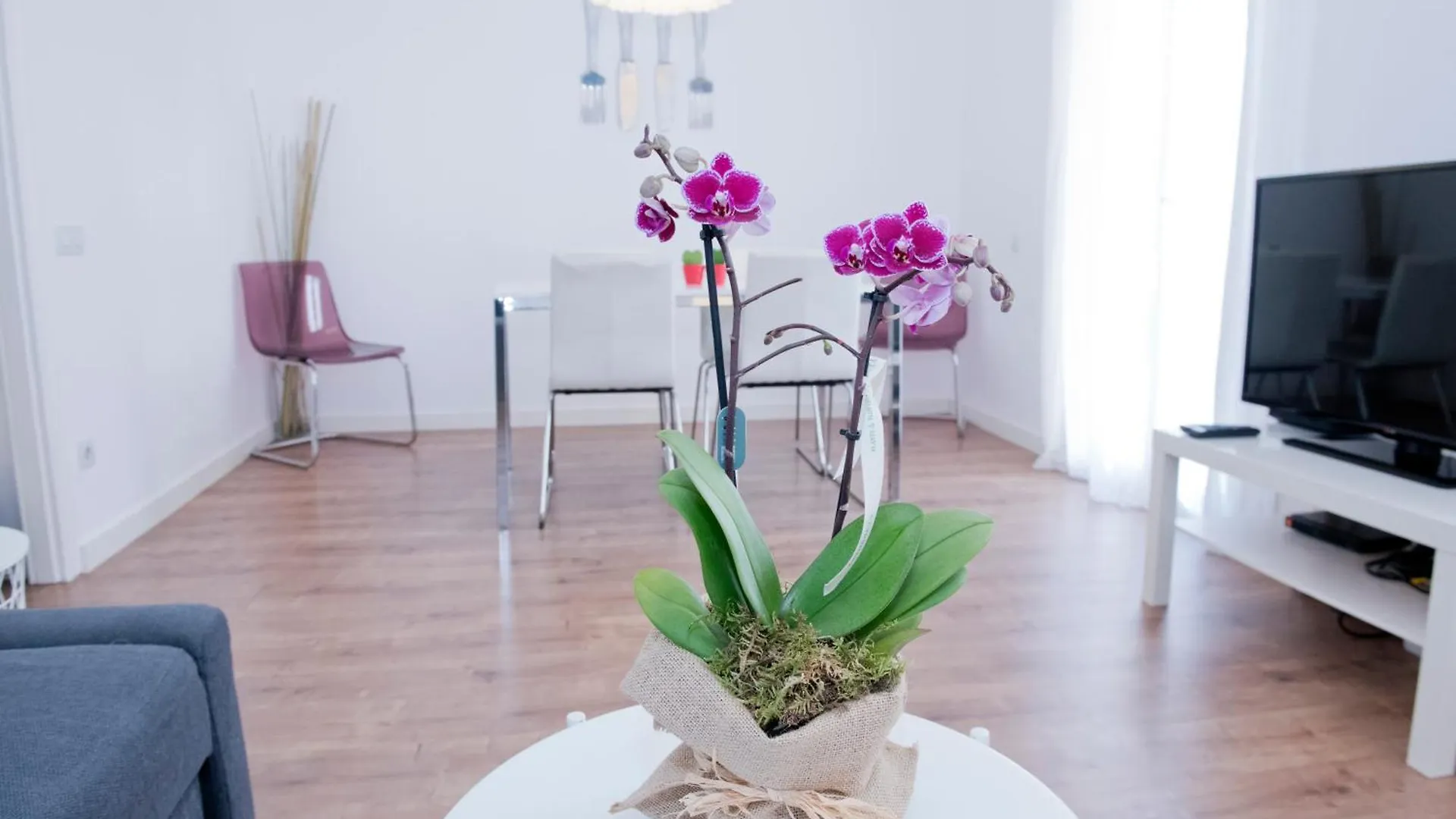 Apartamento Gaudi-Sant Pau Barcelona Apartment
